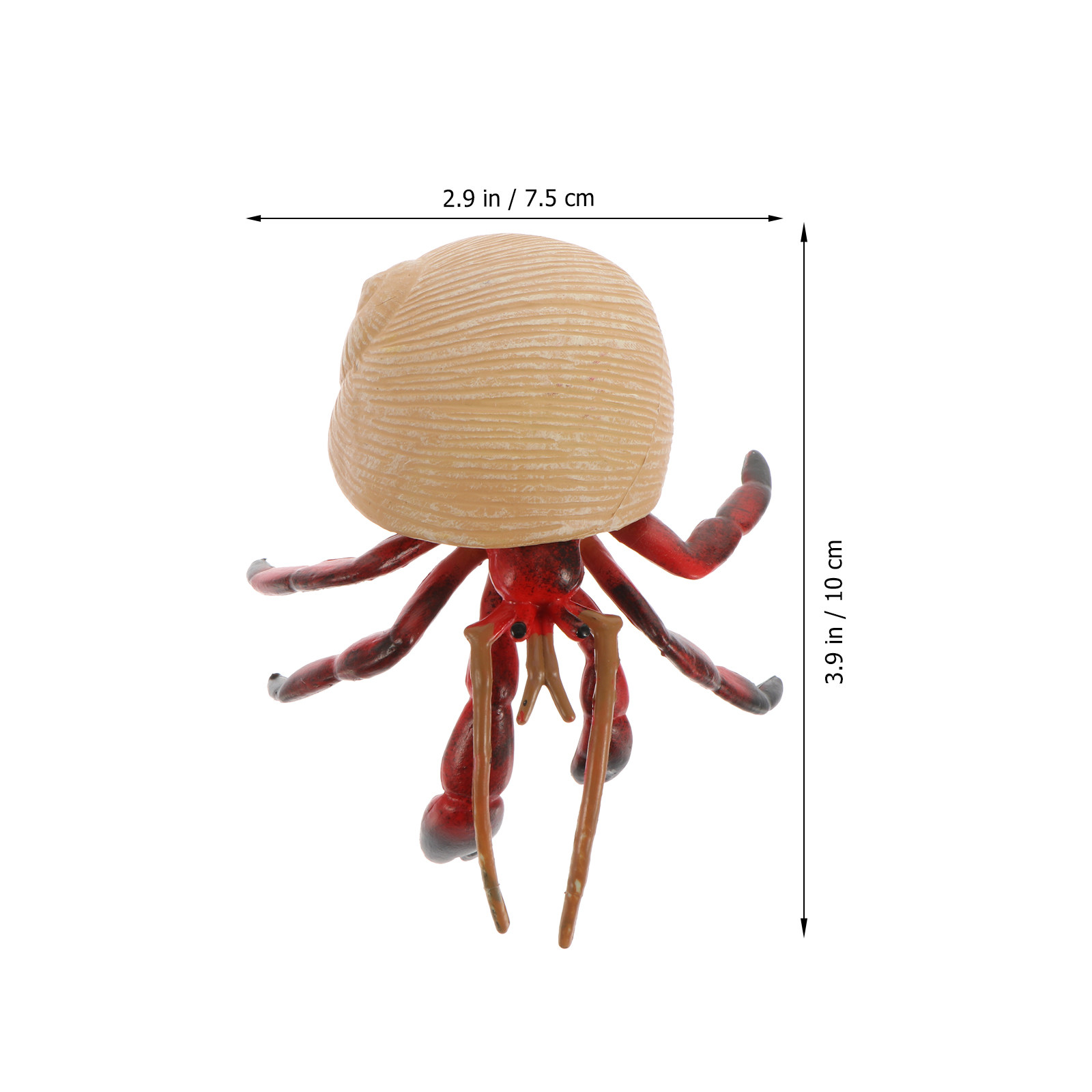 Compact Lightweight Realistic  - đánh giá và giá Science Toy
