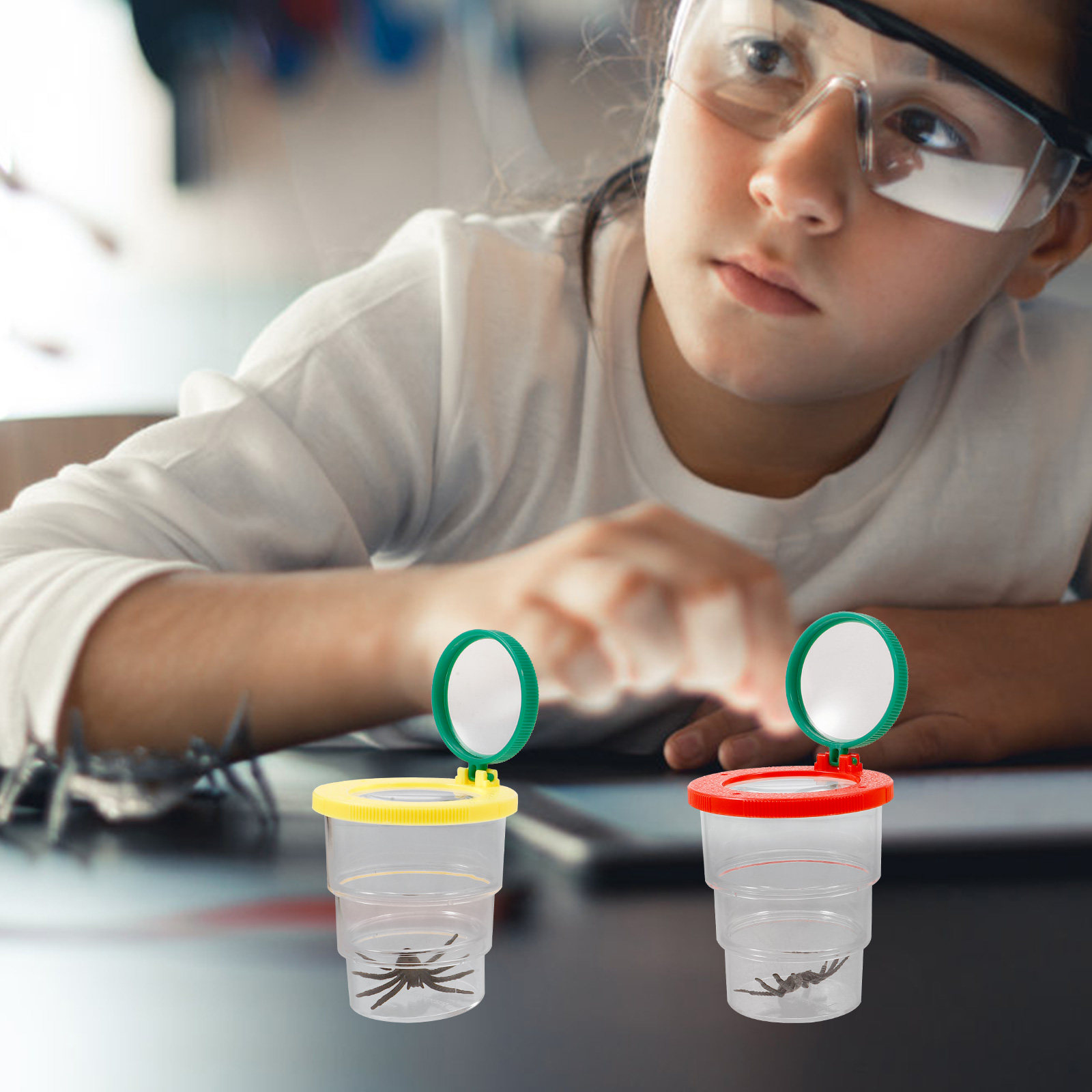 3Pcs Insect Observation Box Tr - đánh giá và giá Science Toy